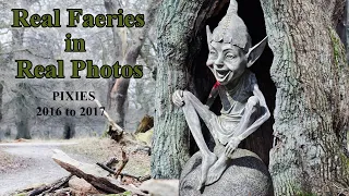 Real Faeries in Real Photos/Pixies 2016 to 2017