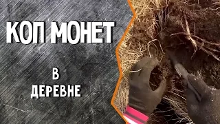 Коп монет в деревне. Беркут 5 / (16.01.2015)