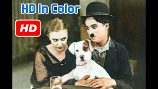 Charlie Chaplin, A Dogs Life - Charlie Chaplin Comedy Movie - HD #comedy #charliechaplin