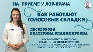 Как работают голосовые складки?