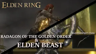 Elden Ring Bloodhound's Fang | Radagon & Elden Beast Boss Fight