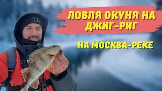 Москва-река | Ловля окуня на Джиг-риг | Рыбалка 2024