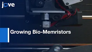 Method For Growing Bio-Memristors From Slime Mold-Preview