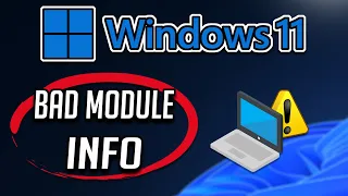 FIX Bad Module Info Has Stopped Working In Windows 11/10