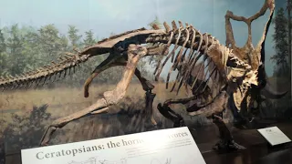 Royal Tyrell Dinosaur museum in Drumheller Alberta Canada.