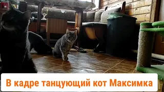 Максимка