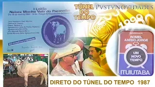 PVS-TV NOVIDADES -  PRIMEIRA PARTE   PRIMEIRO LEILÃO NELORE MOCHO VALE DO PARANAIBA 1987