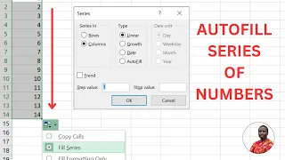 AUTOFILL SERIES OF NUMBERS in Excel || How to automatically generate number series without stress