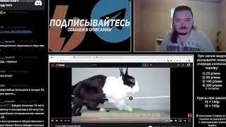 Маргинал смотрит видео с кроликом