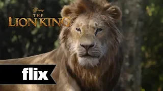 The Lion King: Meet The Characters - New Look