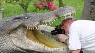 Крокодил в речке Нил - Мурзилки Int