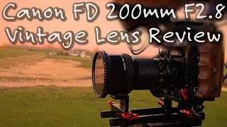 Canon FD 200mm F2.8 Review on Panasonic GH5