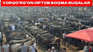 YORQO’RG’ON OPTIM BOQMA BUQALAR BOZORI