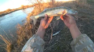 Шикарная рыбалка на судака| после холодной зимы его очень много