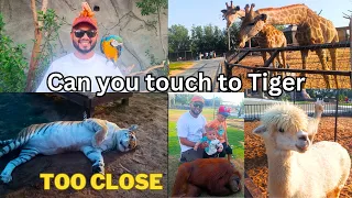 Best Zoo in UAE | Umm al quwain Zoo Wild life park |Dubai best Zoo Safari park