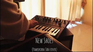 New Shoes - Blue Wednesday (Paweekorn Tan cover )