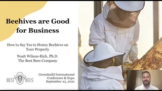 Beehives Are Good For Business: How To Say Yes To Honey Beehives On Your Property