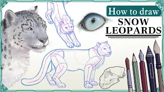 How to draw SNOW LEOPARDS - Step by Step Art Tutorial