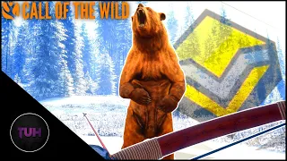 MAX SCORE!!! Diamond Brown Bear With The Recurve!!! | theHunter: Call of the Wild