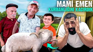 MAMİ EMEN'İN KURBANLIK KOYUNUNU ÇALDIK  !!  @SefaKndr @emregull