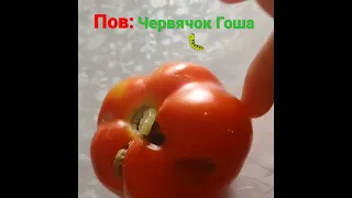 Гоша аахахахах