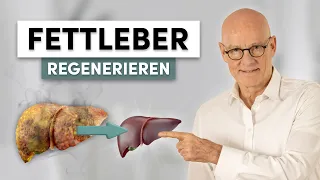 Fettleber regenerieren: So behandelst Du sie richtig!