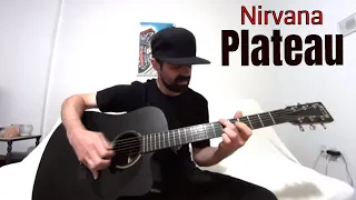 Plateau - Nirvana/MeatPuppets [Acoustic Cover by Joel Goguen]