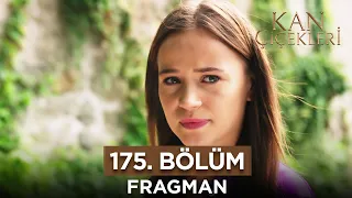 Kan Çiçekleri 175. Bölüm Fragman | 30 Ekim Pazartesi