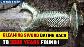 Germany: 3000-year-old, well-preserved and almost gleaming sword discovered I Oneindia News