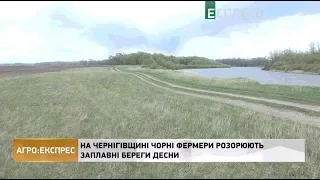 На Чернігівщині чорні фермери розорюють заплавні береги Десни | Агро-Експрес