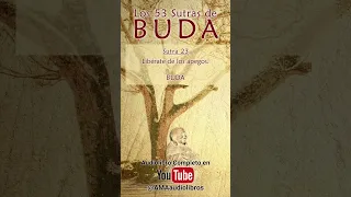 Buda - Sutra 23 (Del Audiolibro: Los 53 Sutras de Buda). #buda #budismo #espiritualidad #audiolibro