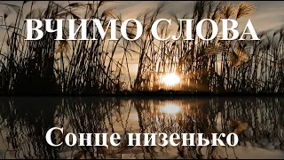 Сонце низенько. Українська народна пісня. Читає Вікторія Сергієнко