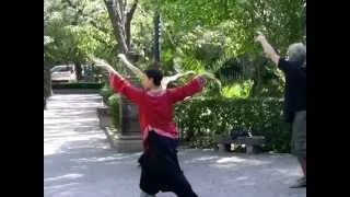 Lydia Wong's Qigong For Balance.mp4