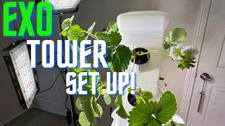 How to Set Up Exo Hydroponic Garden Tower