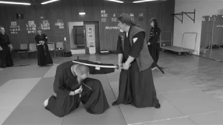 Training impressions Gohshinkan Ryu 27. 05. 2018 Clip 1