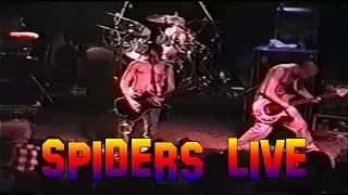 System Of A Down - Spiders Live RCKNDY 1998