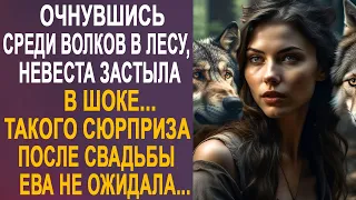 Очнувшись среди волков в лесу, невеста застыла в шоке. Такого сюрприза после свадьбы она не ожидала.