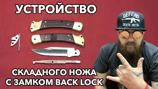 Устройство  складного ножа с замком Back Lock
