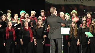 The Sea of Galilee international choir Festival - Kinneret