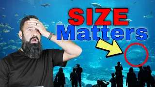 Size Matters! Is A Bigger Reef Aquarium A Better One?