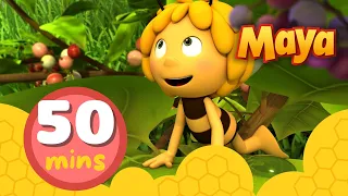 La Abeja Maya 🐝  50 minutos | Episodios completos 1-4 |