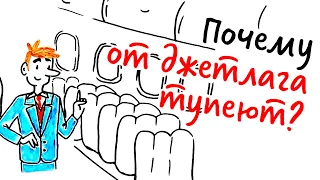 Почему от ДЖЕТЛАГА тупеют? — Научпок