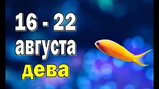 ДЕВА 🌍 УПРЕКИ в РАЗГОВОРЕ 🌍 неделя с 16 по 22 августа. Таро прогноз гороскоп гадание