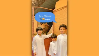 بضيافة مربط جهينه♥️🐎بتال لازم ياخذ حقه من الفله😂(ماشاء الله).