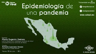 Epidemiología de una pandemia