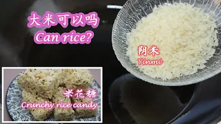 自制阴米|米花糖|用普通大米可以制作阴米吗？|Homemade Yinmi|Crunchy rice candy|Can rice be made for Yinmi？