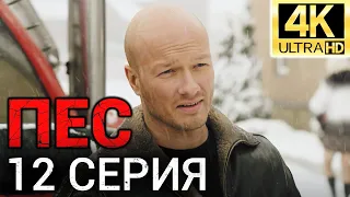 Сериал ПЕС - 12 серия - 1 сезон - Все серии подряд - Смотреть онлайн в хорошем качестве | 4К