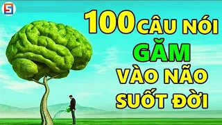 100 Câu nói bạn Phải Găm vào Não Suốt Đời!