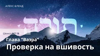 Недельная глава Ваэра. Проверка на вшивость. Шемот 8:7-18