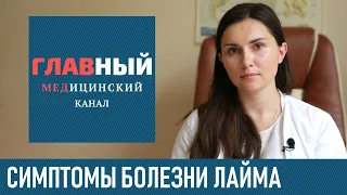 Болезнь Лайма: симптомы боррелиоза у человека. Как выглядит укус клеща на фото